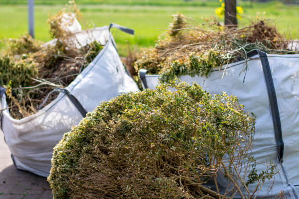 Best Attic Cleanout Services  in Alexandria Bay, NY